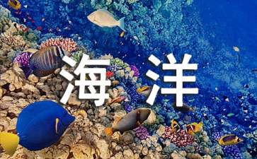 《海洋》观后感15篇