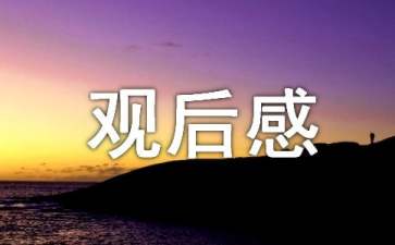 《哈利·波特》观后感