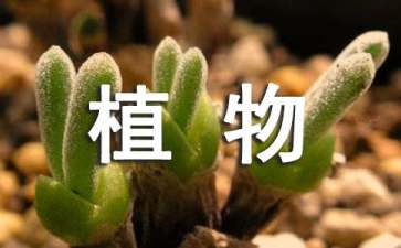 保护植物的倡议书