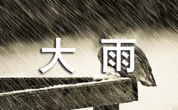 关于大雨小雨教案3篇