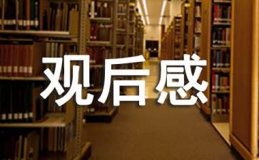 2022年关于北京冬奥会优秀观后感（精选16篇）